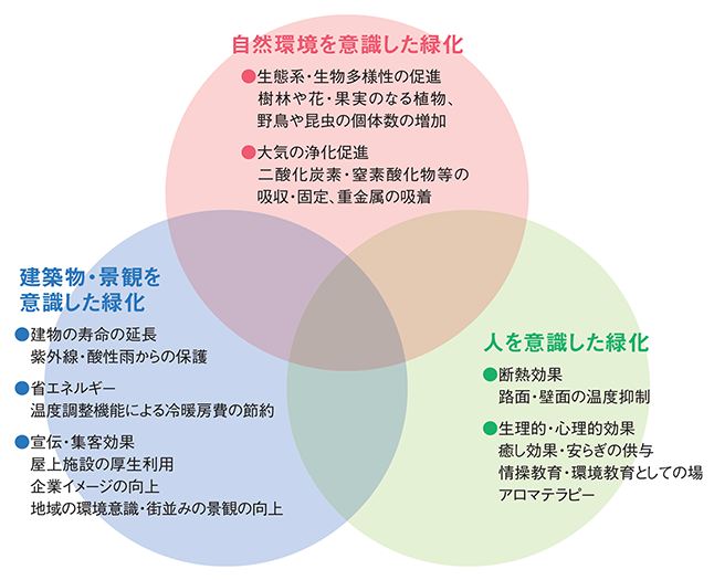 壁面緑化とエクセルソイル