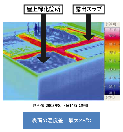 ヒートアイランド対策